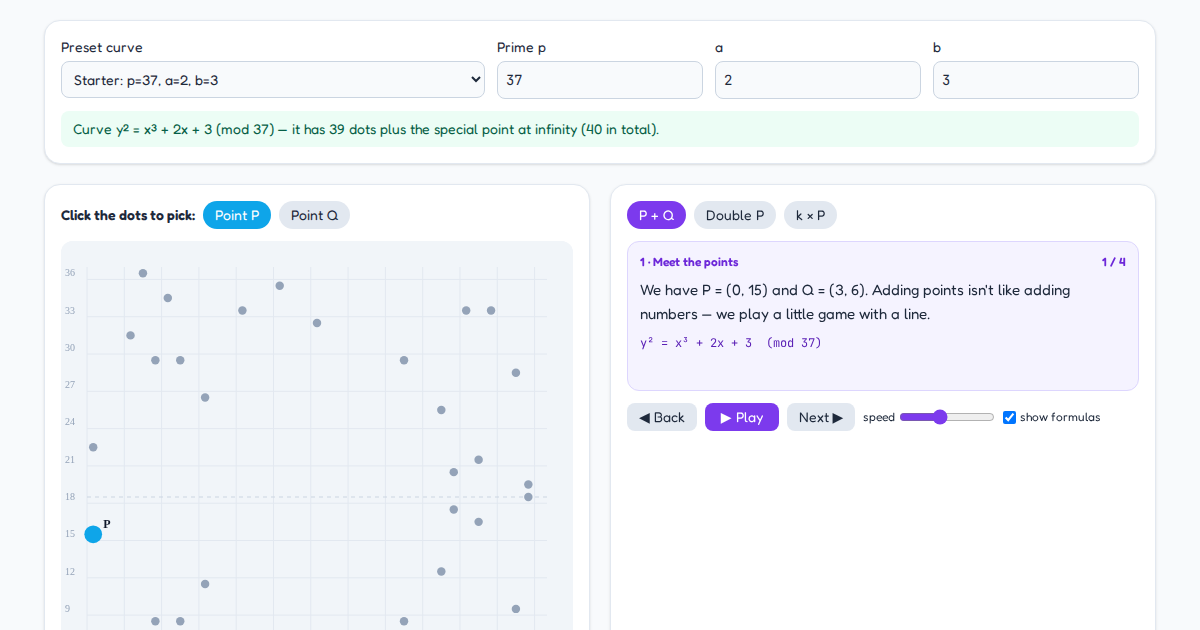 Screenshot of Curve Playground